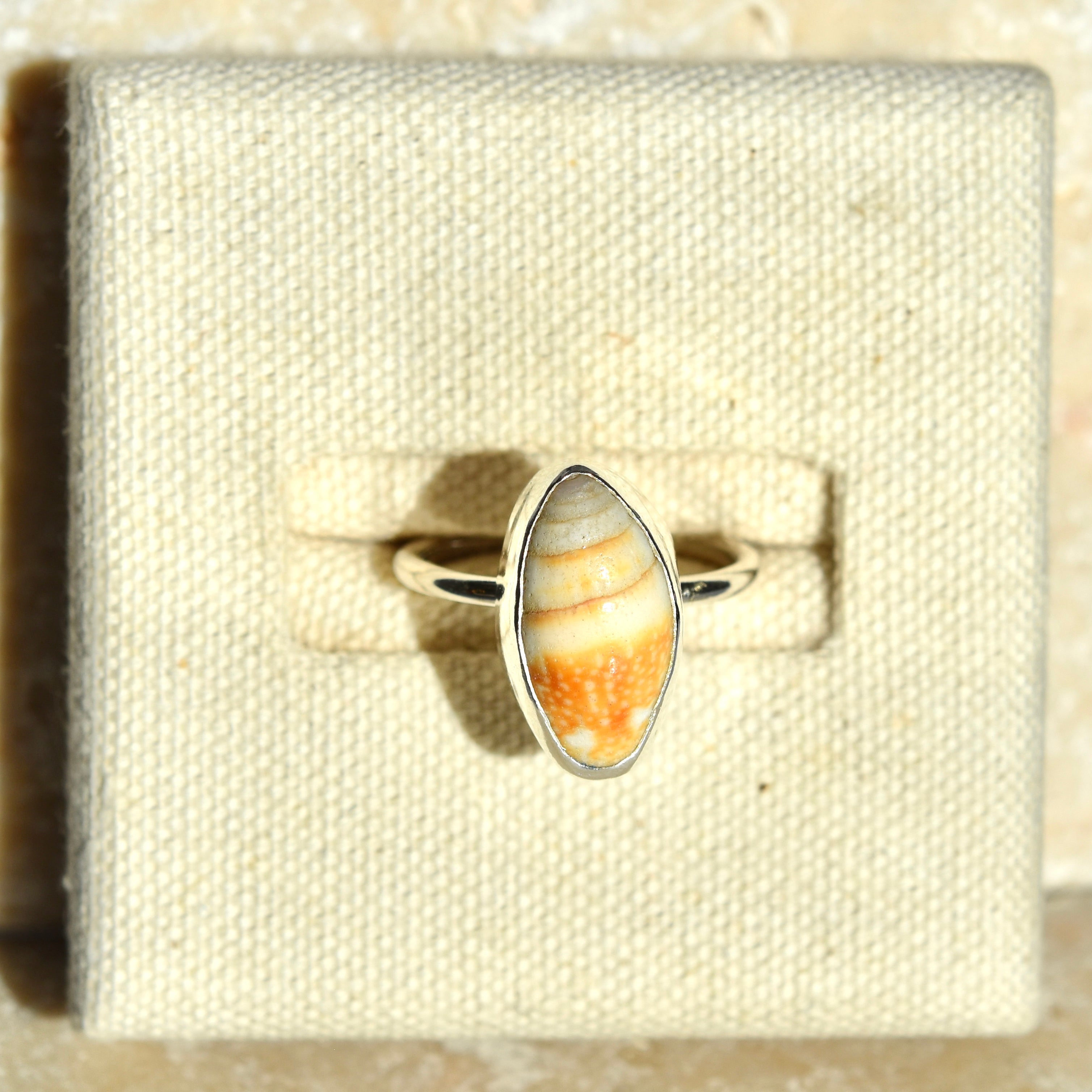 Cone Shell Ring | Size S