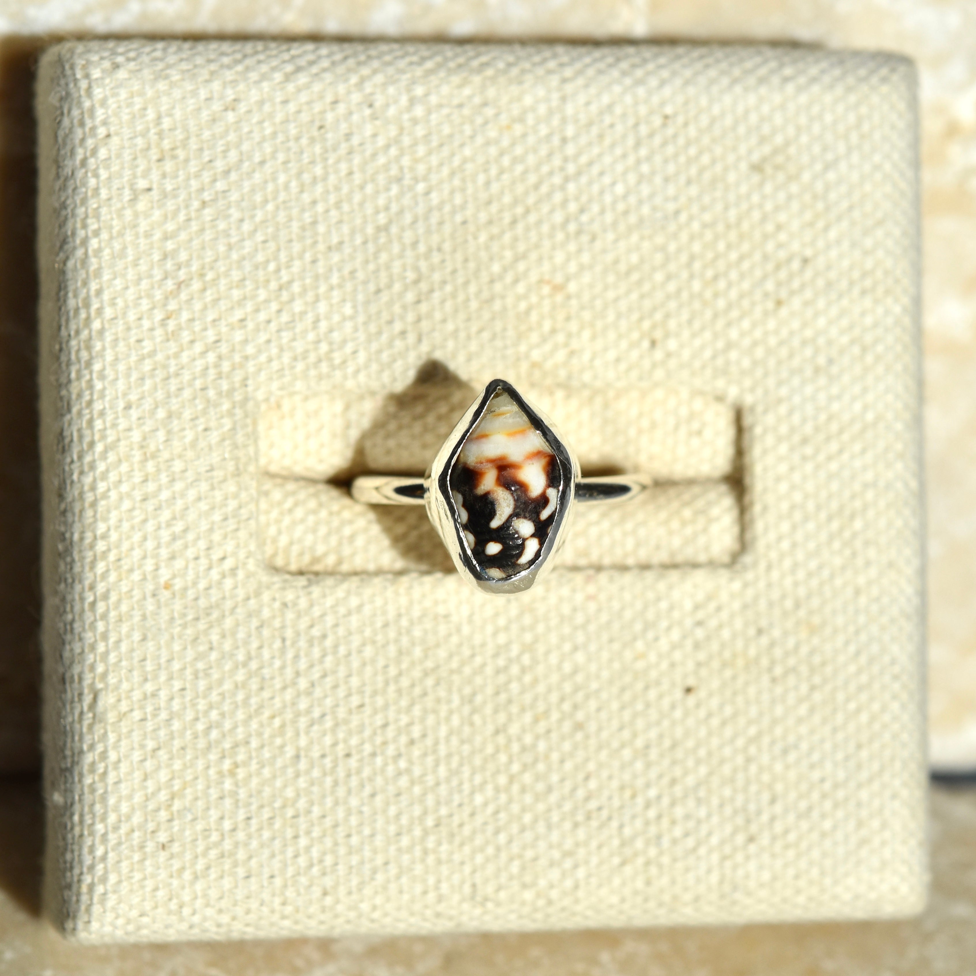 Cone Shell Ring | Size N